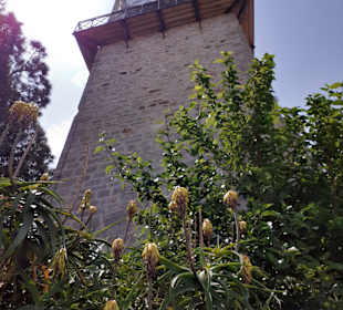Notre-Dame d'Espérance