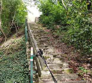 Aufstieg: Steinerne Stiege