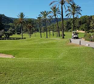 Golfplatz Son Vida.
