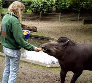 Zoo Osnabrück