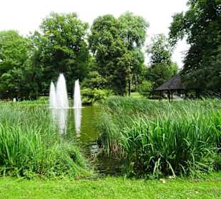 Rundgang durch den Edmund Klein Park