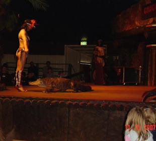 Krokodile Diana Show