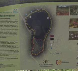 Windgfällweiher