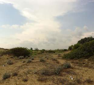 Gündogdu auf den Dünen oben