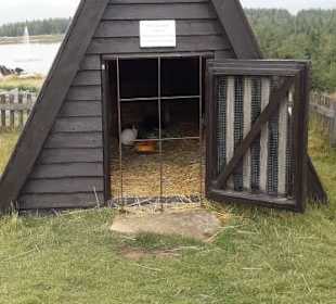 Oben auf dem Wurmberg