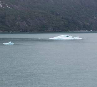 MS Zaandam befährt den Tracy Arm Fjord