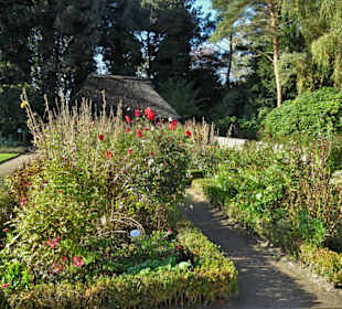 Rundgang durch den Botanischen Garten Hamburg