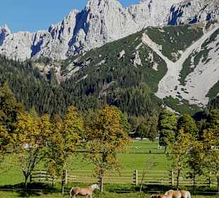 Wandern Ramsau am Dachstein