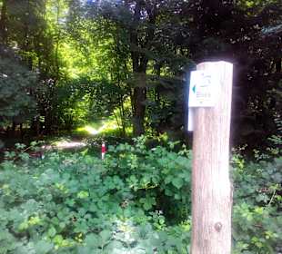 Glan-Blies-Rad- und Wanderweg in Homburg