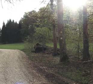 Wanderweg Hochgehswiggert