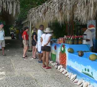 Manati park bavaro