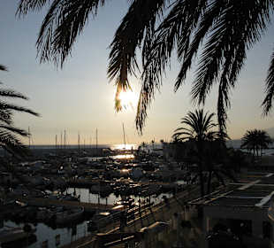 Sonnenuntergang am Paseo Maritimo