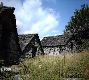 Rustici