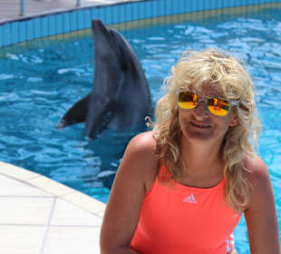So nah ist man den Delfinen auch als Zuscahuer