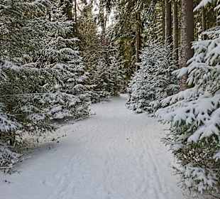 Schneebedeckte Wege