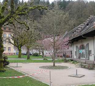 Besichtigung Kloster Lichtenthal