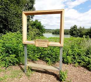 Auf dem Rundweg um den Dammer Bergsee