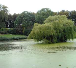 Botanischer Garten