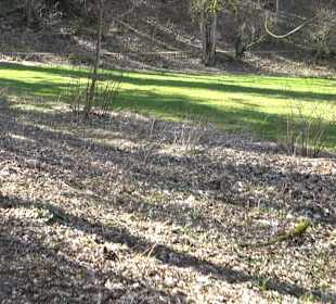 Fürstlicher Park Inzigkofen