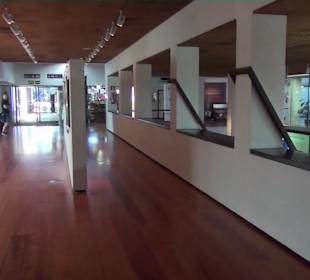 Besucher - Zentrum Mancha Blanca