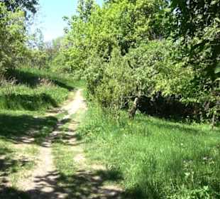 Wiesaztal Gönningen
