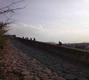 Wejście na wzgórze do świątyni