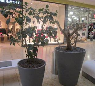 Rheingalerie Ludwigshafen