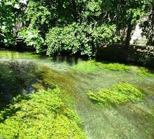 Am Wasser der Sorgue