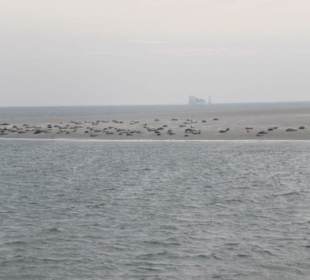Ausflugsfahrt mit der WEGA 2