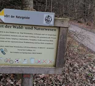 Wegweiser ort der wald und naturgeister 