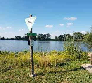 Altmühlsee