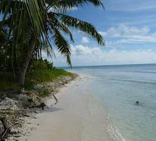 Ehemalige Pirateninsel Insel Saona "Isla Saona"
