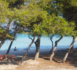 Strand Alcudia