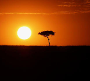 Sonnenaufgang Masei Mara