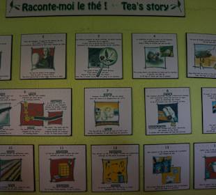 Im Teemuseum in Bois Cheri