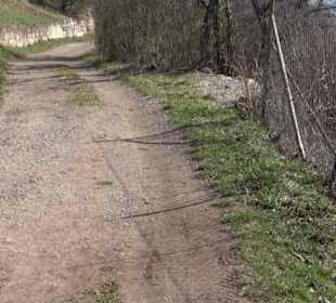 Hirschauer Spitzbergwegle (Premiumspazierwanderweg
