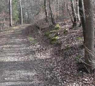 Rundwanderung durch den Rauhen Rammert Hemmendorf