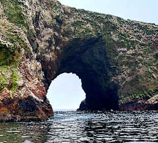 Ausflug Ballestas Inseln
