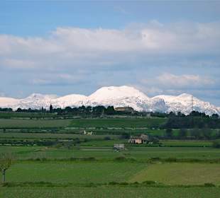 Mallorca Anfang Februar.