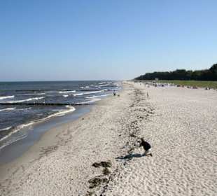 Strand Zingst