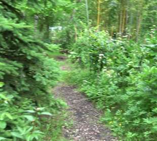 Mezger's Bürgle Park