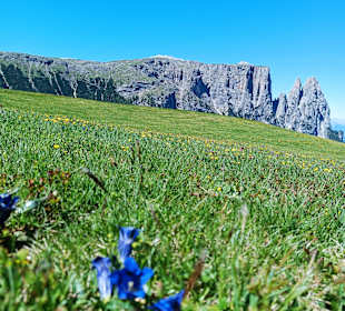 Wandern Seiser Alm