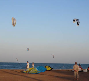 Element Watersports  - El Gouna 