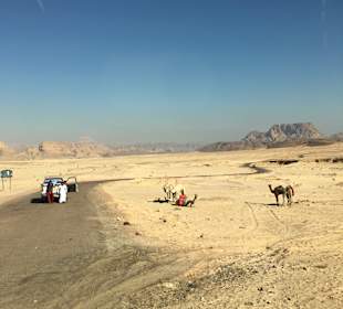 Beduinen in der Wüste