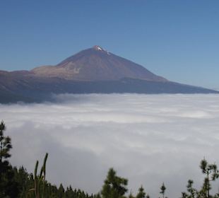 Teide über den Wolken