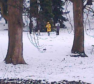 Łazienki wczesną wiosną.