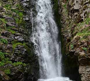 Wandern Todtnauberg