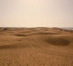 Sanddünen Maspalomas