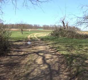 Premiumwanderweg "hochgeblickt"