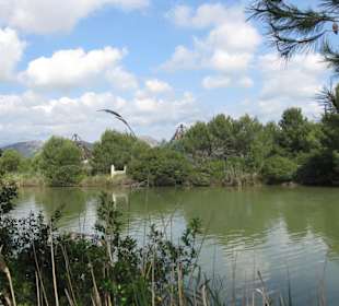 Nationalpark Albufera